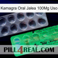 Kamagra Oral Jelly 100Mg Use new04